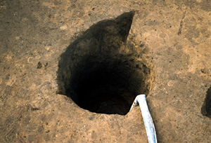 画像：荷札が見つかった井戸
