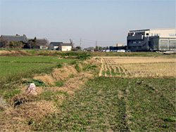 画像：五十子陣跡遠景（本庄市）