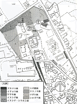 画像:玉敷神社植生図