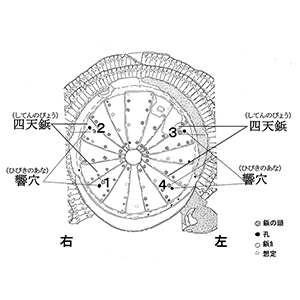 四天鋲・響穴