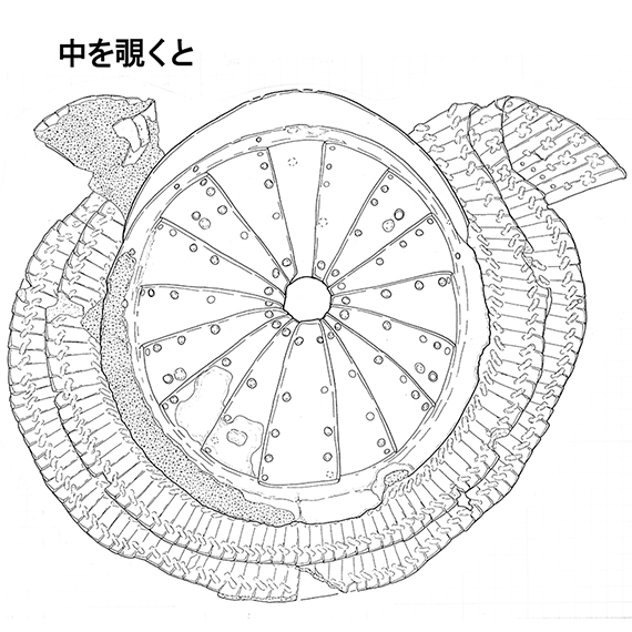 実測図　中