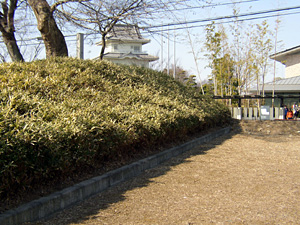 画像：騎西(私市)城土塁跡