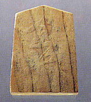 画像:将棋の駒(金将)